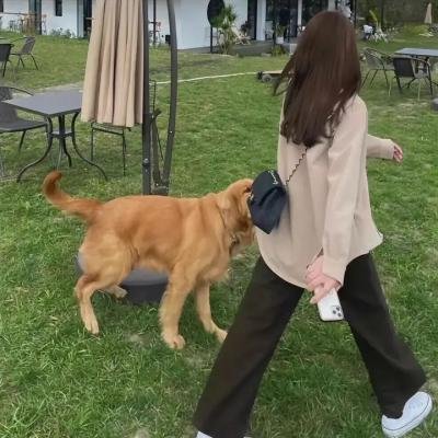 绯色战姬